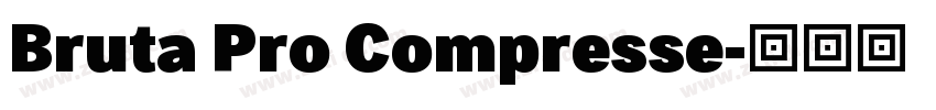 Bruta Pro Compresse字体转换